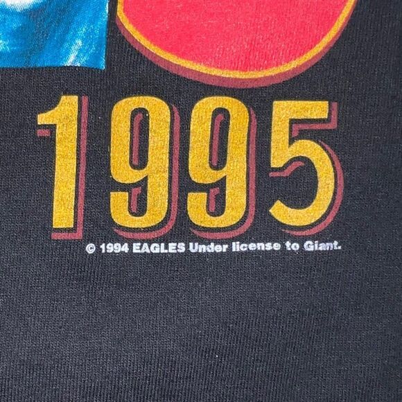 Vintage The Eagles 1994 / 1995 Hell Freezes Over World Tour Concert Tee Men's L - Picture 6 of 6